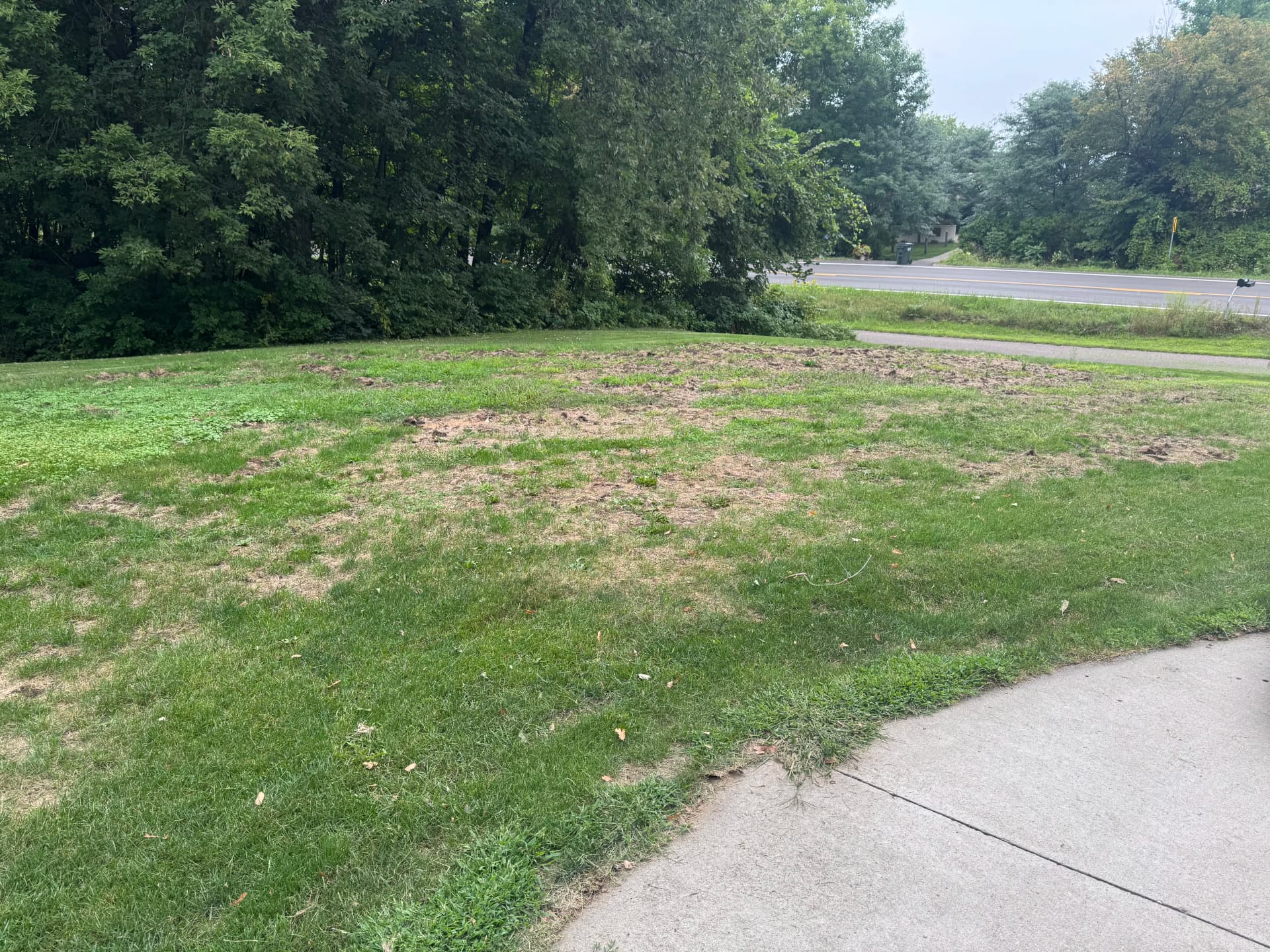 Gallery photos for Lawn Seeding Done Right at Lake Koronis: Image #1