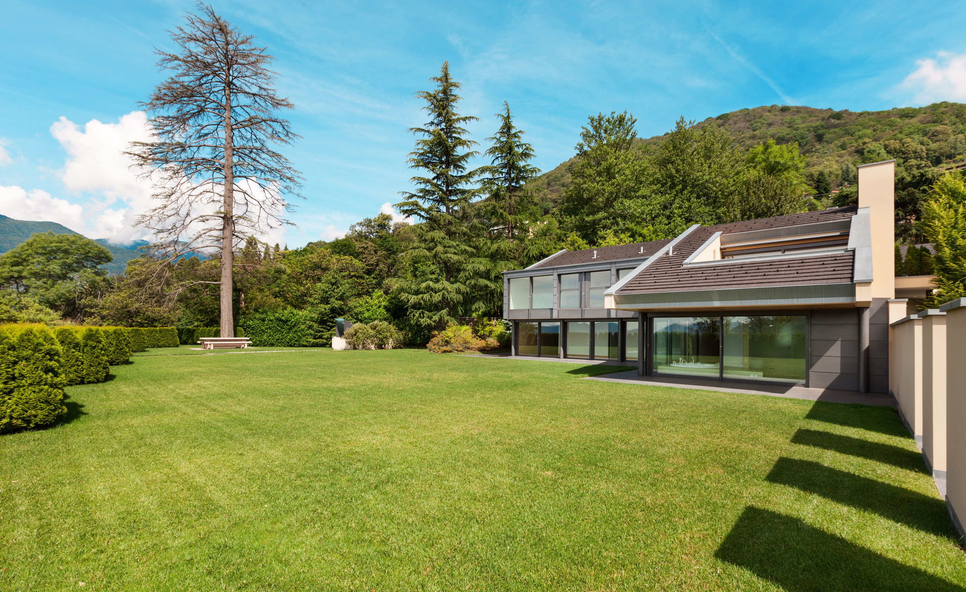 Lawn Care image