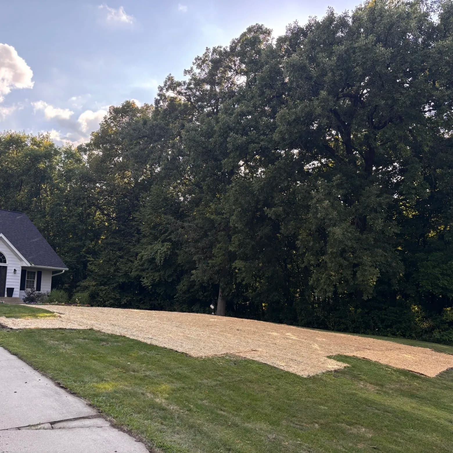 Gallery photos for Lawn Seeding Done Right at Lake Koronis: Image #2