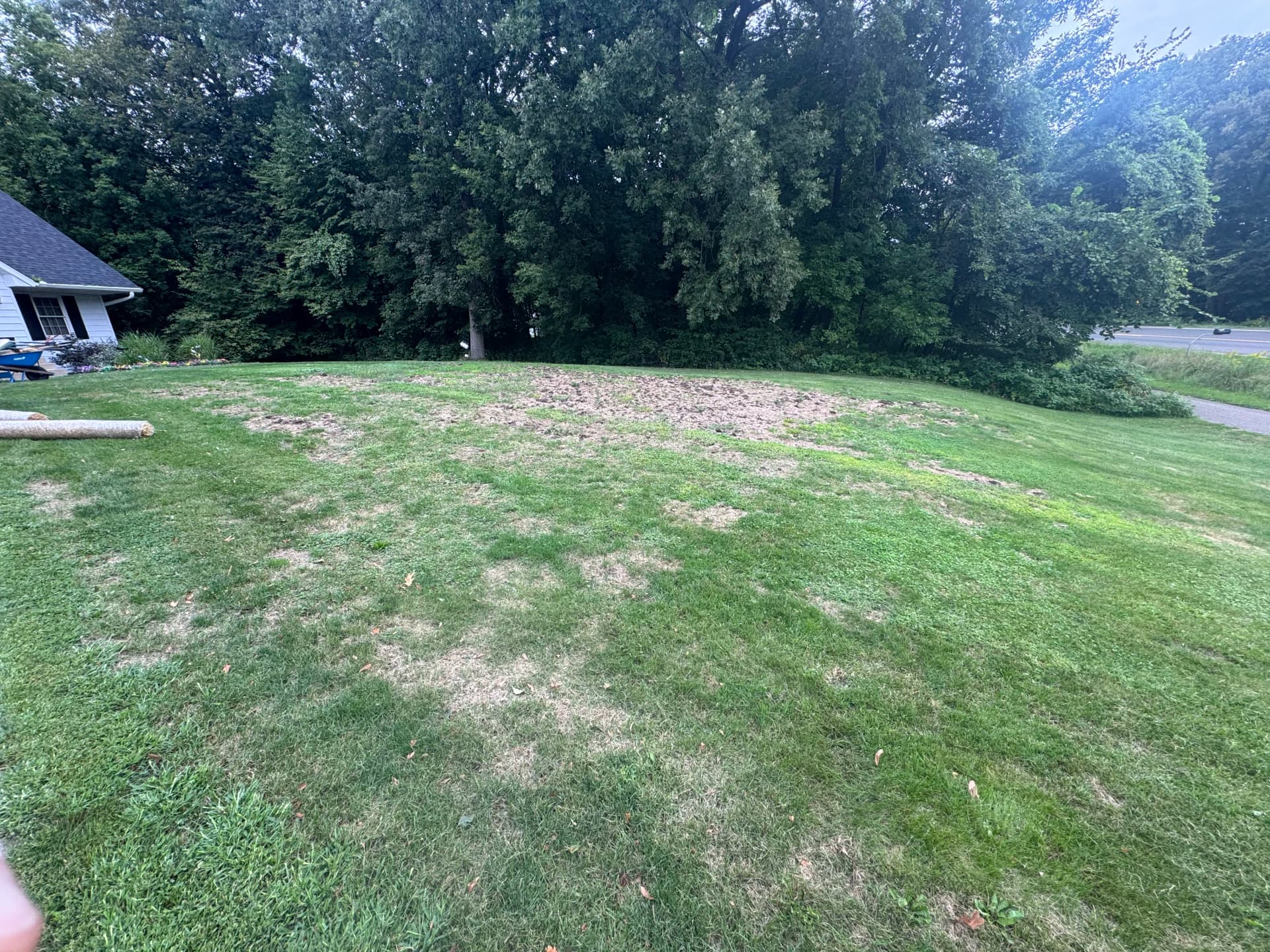 Lawn Seeding Done Right at Lake Koronis image