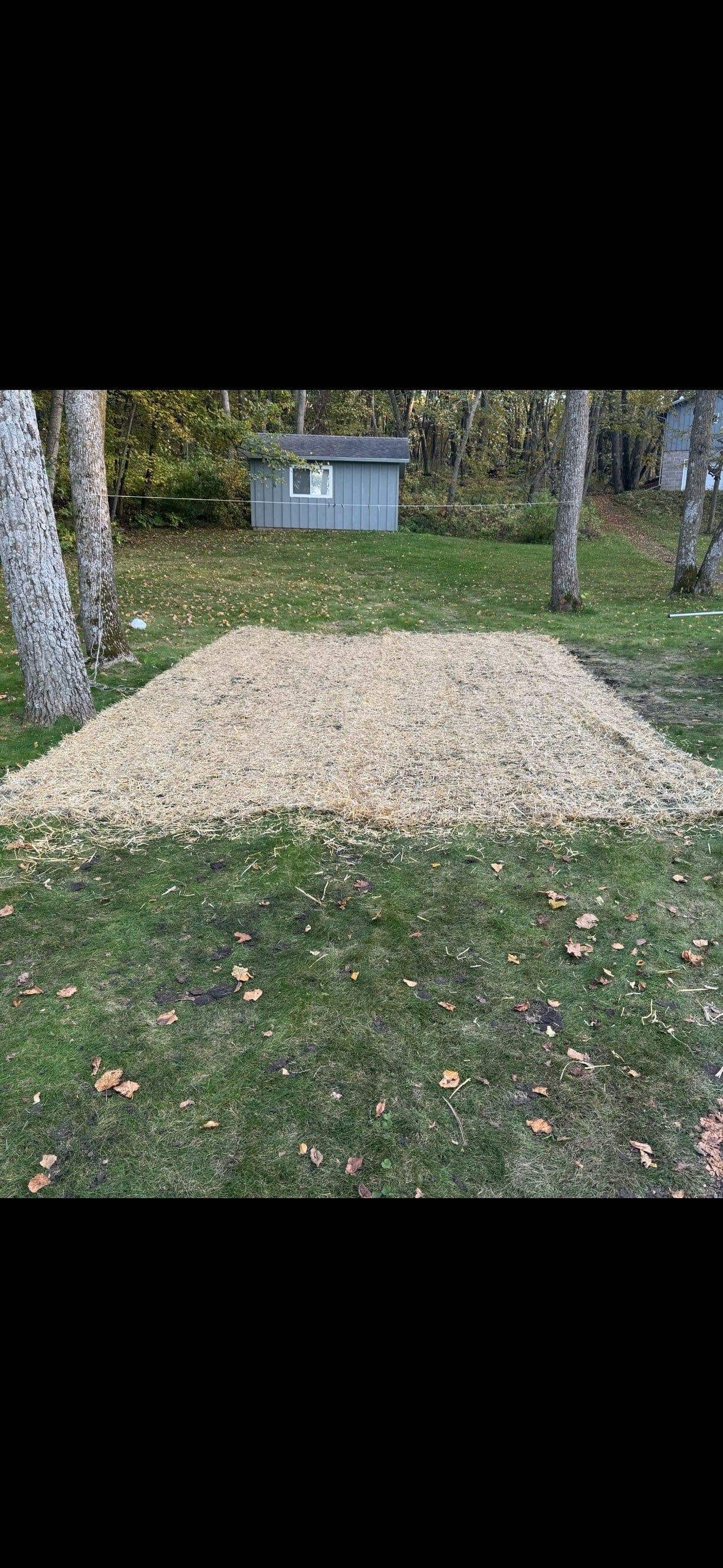 Stump Removal and Lawn Restoration on Lake Koronis image
