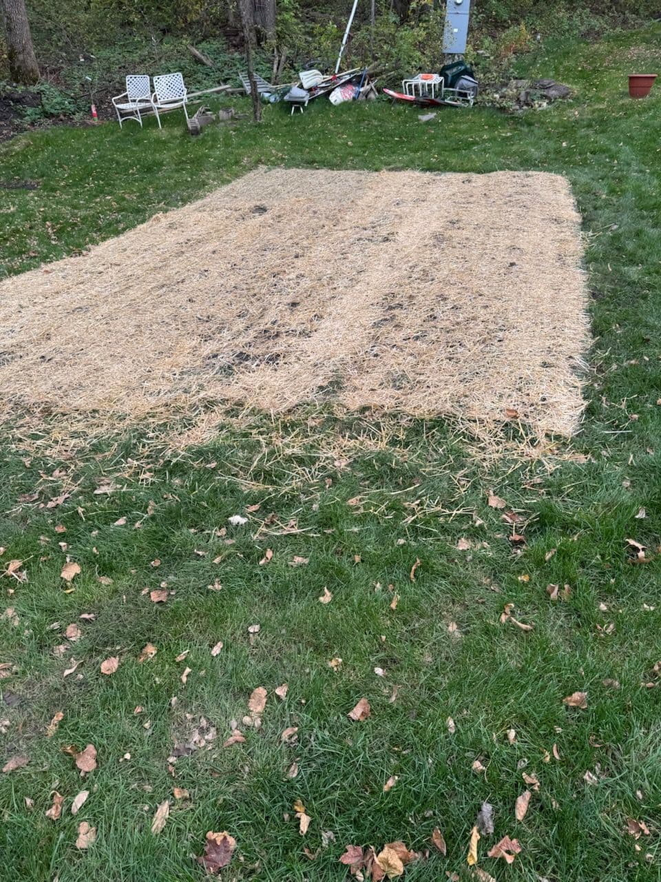 Lake Koronis Yard Enhancement - A Fresh Start for Your Lawn image